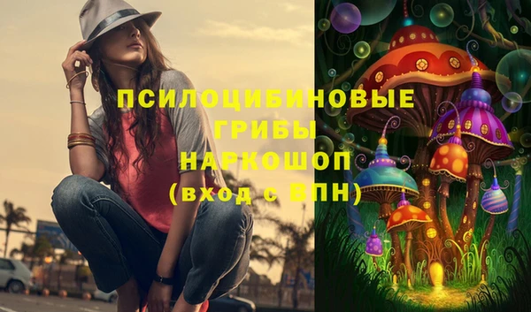 бошки Алексин