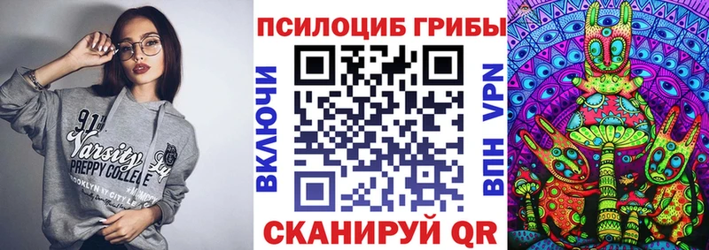 Псилоцибиновые грибы Psilocybe  наркотики  Змеиногорск 